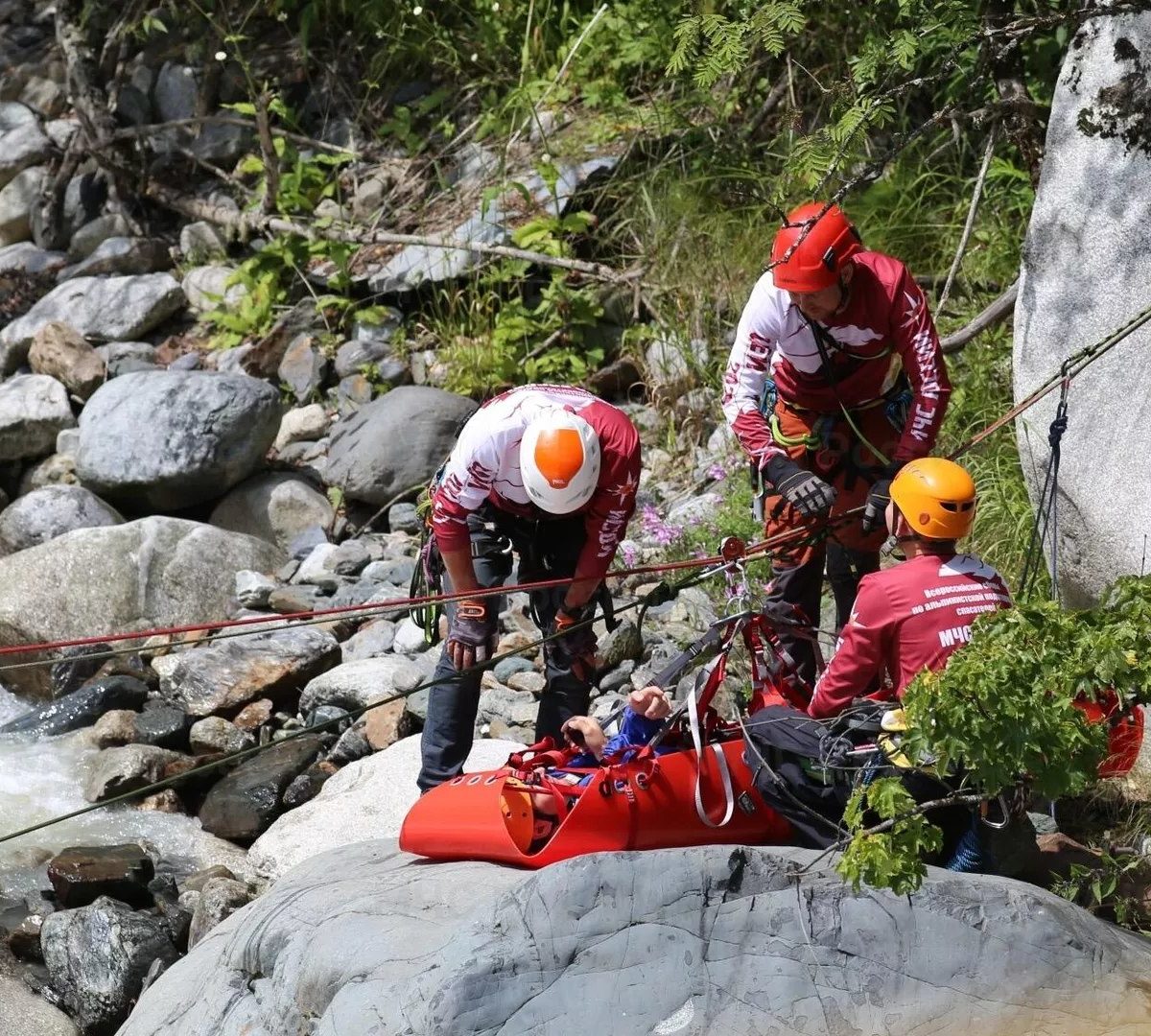 photo_5370558859791421273_w